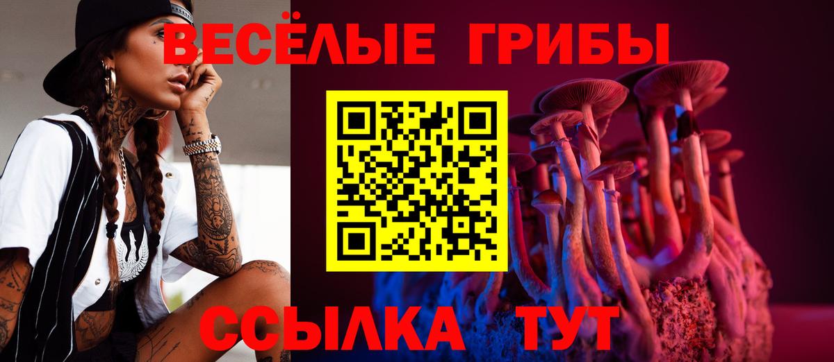 Корсаков  Псилоцибиновые грибы Magic Shrooms  где найти   Вход с VPN 